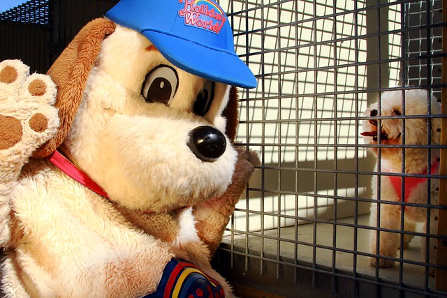 Holidog visits Bella at the Holidog Inn