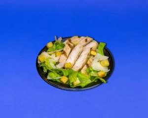 Chicken Caesar Salad at Holiday World & Splashin' Safari in Santa Claus, Indiana.