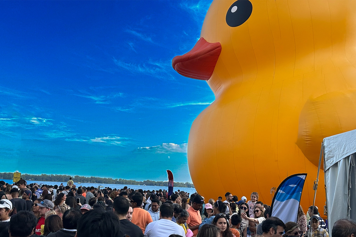 Rubber Duck Days at Holiday World & Splashin' Safari