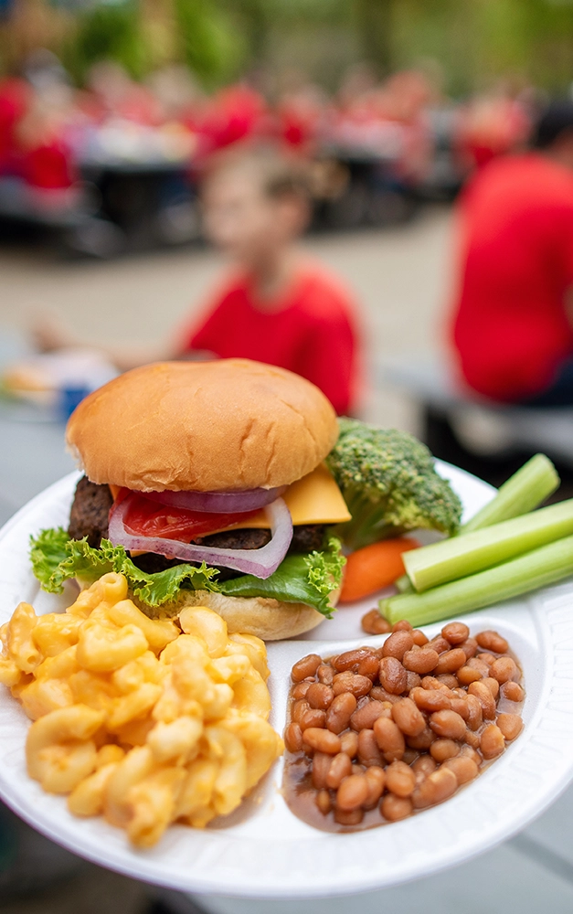 A lunch plate from the All-American Picnic at Holiday World.